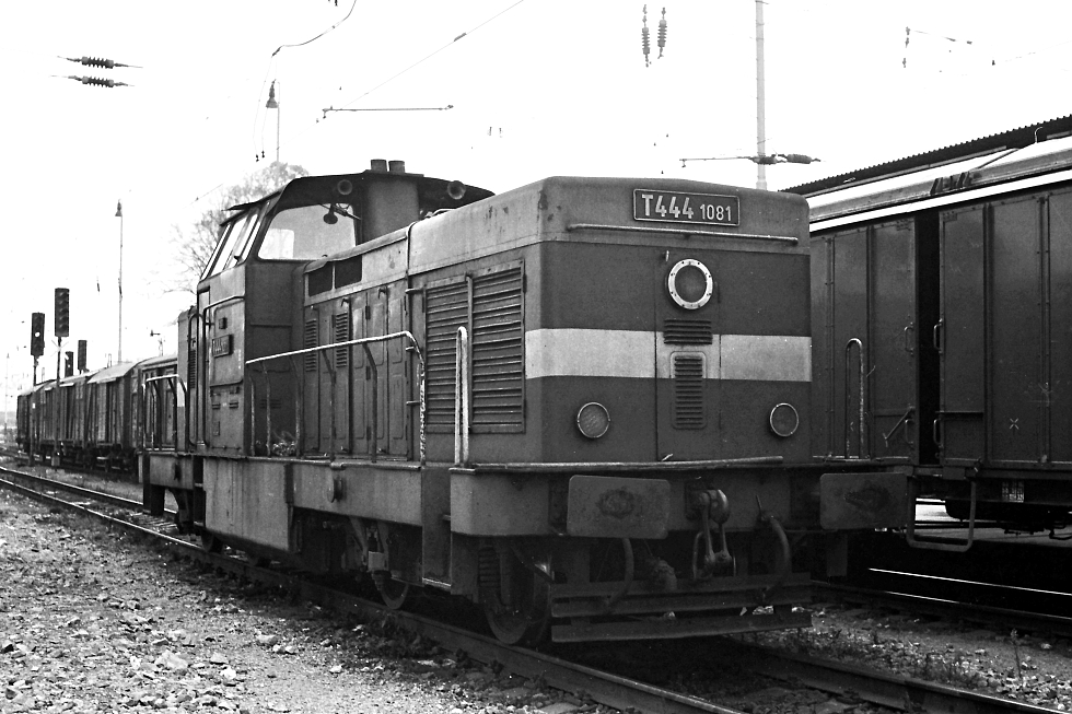 T444.1081