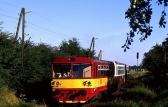 810 575-1