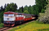 751 017-5