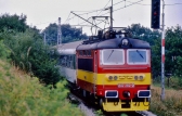 242 282-2