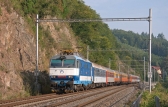 350 (ex.ES499.0)