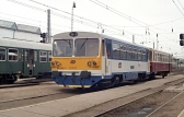 810 523-1