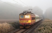 242 206-1