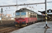 242 213-7