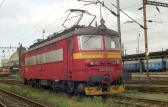 242 231-9