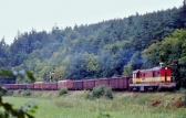 771 029-6
