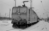 ES499.1002