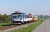 810 519-9