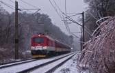 381