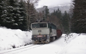 750 061-4