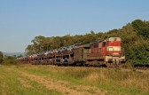 742 202-5