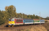 242 203-8