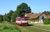 810 306-1