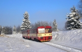 810 482-0