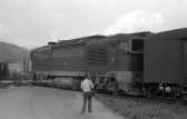 753 272-4