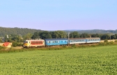 242 256-6