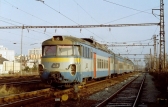451 019-4