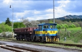 704 538-8