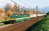 131 (ex.E479.1)