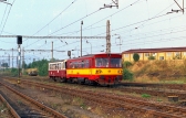 810 054-7