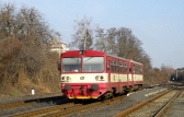 810 231-1