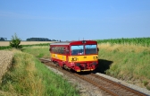 809 (reko 810)