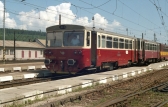 810 376-4