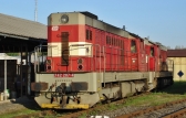 742 207-4