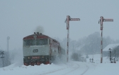749 (reko 751)