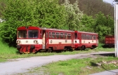 810 257-6