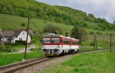 813 035-7