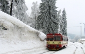 810 523-1