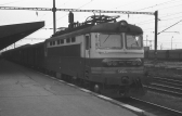 S499.0237