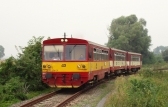 810 271-7
