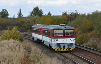 813 007-6
