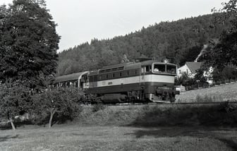 753 294-8