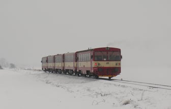 810 181-8