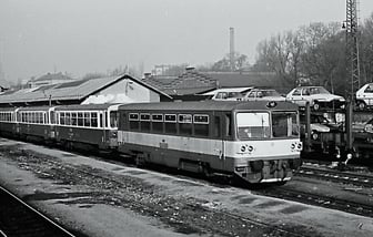 810 252-7