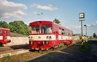 810 388-9