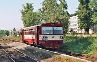 810 245-1