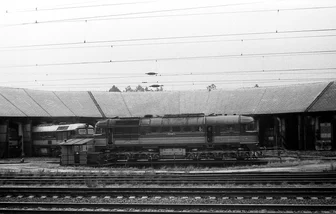 781 529-3