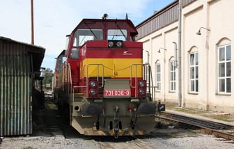 731 036-0