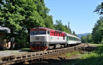 749 246-5