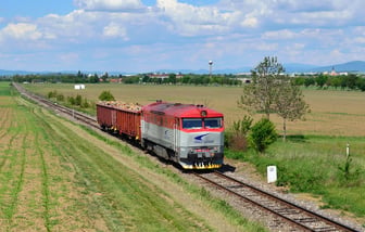 20.05.2026 – Petr Malý