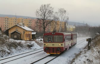 810 231-1