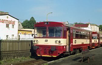 810 009-1