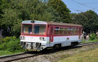 810 625-8