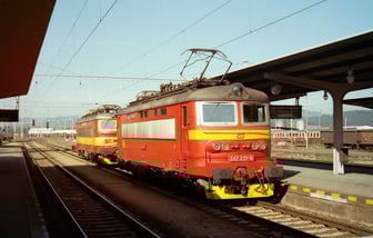 242 231-9