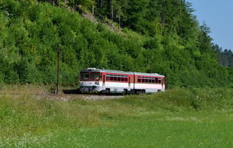 813 032-0