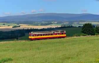 10.08.2024 – Petr Malý